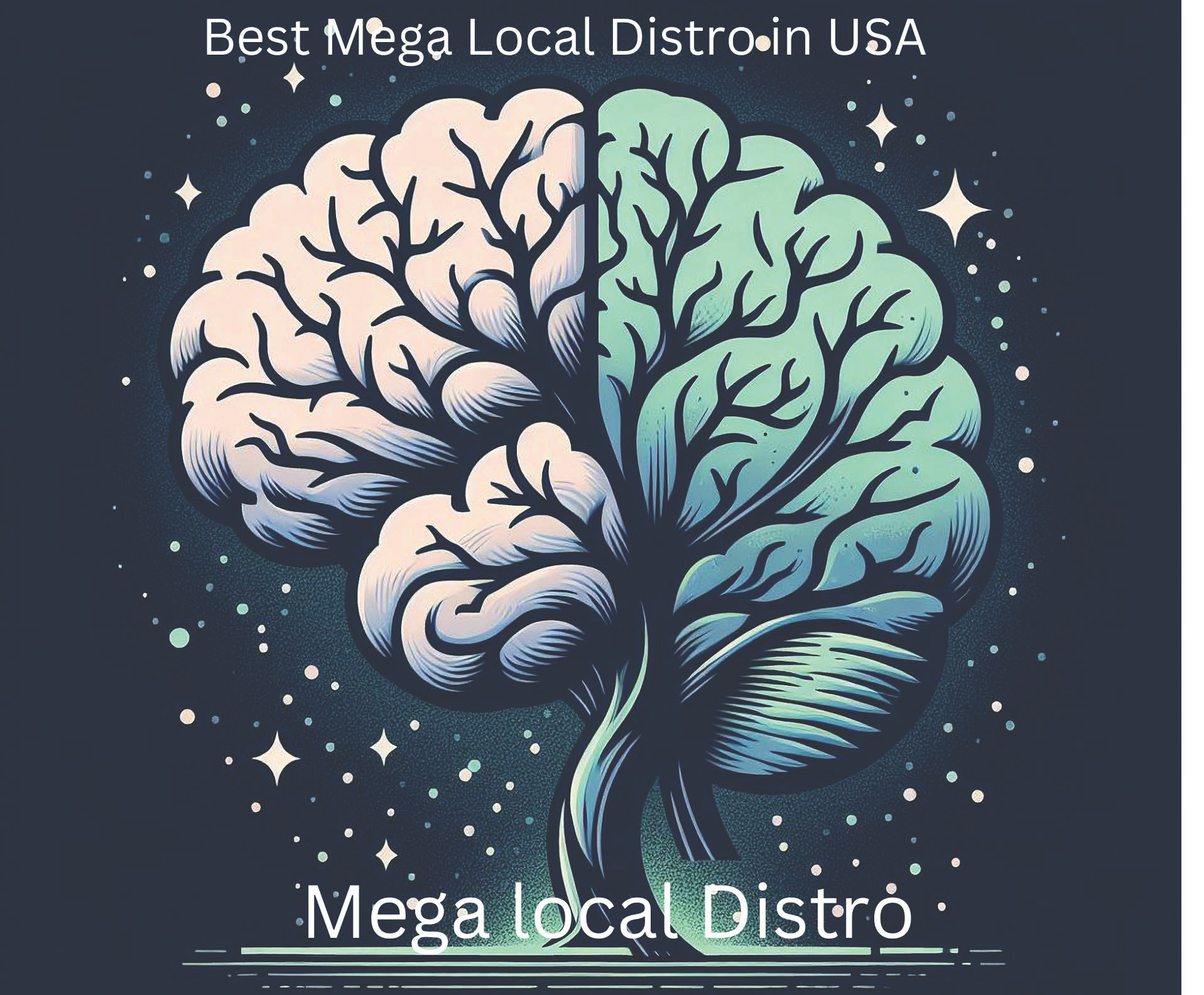 Mega Local Distro: Top Research Chemicals & Psychedelics